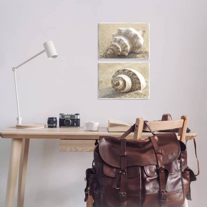 Stupell Neutral Tone Sea Life Wall Plaque Art Design By Dora Rotondella (Set of 2)
