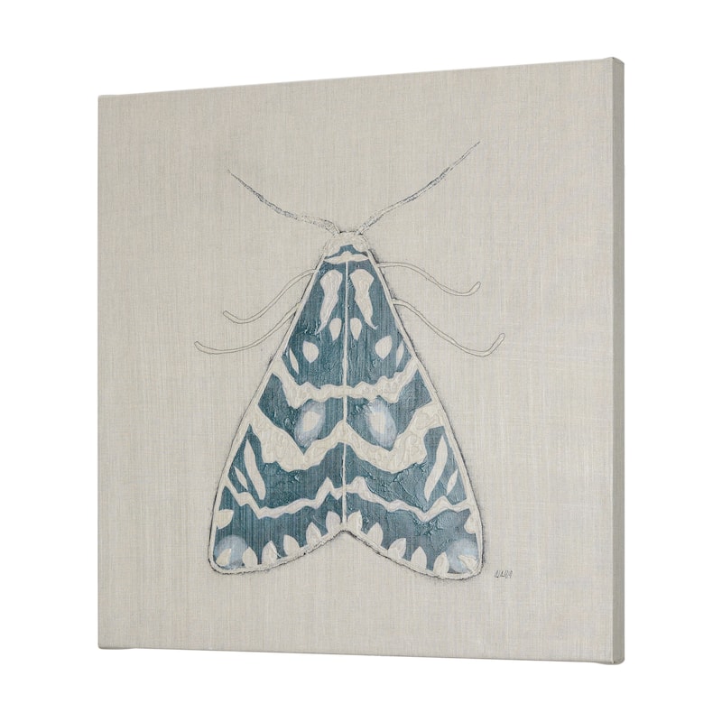 Moth Blue III (30 x 30 ) Canvas Art Print