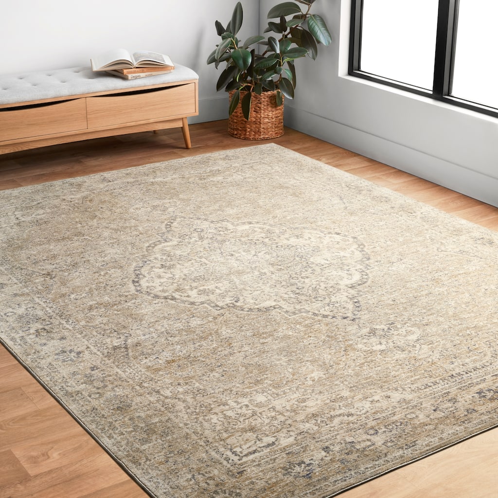 Alexander Home Austen Antique Washed Traditional Inspired Area Rug
