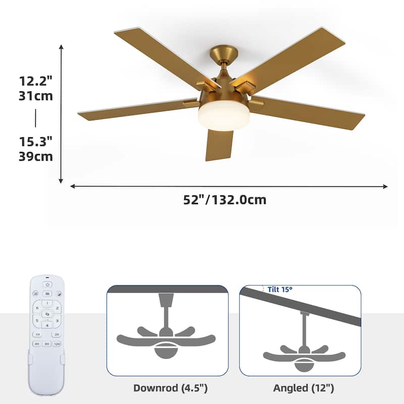 Moasis 5 Blade Ceiling Fan 52 Inch Modern Black and Gold Ceiling Fan - 52"L x 52"W x 15.3"H