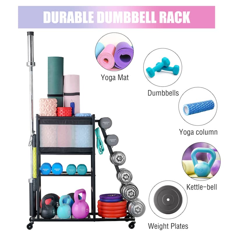 Sport Rack Dumbbell Rack Ball Organization and Storage