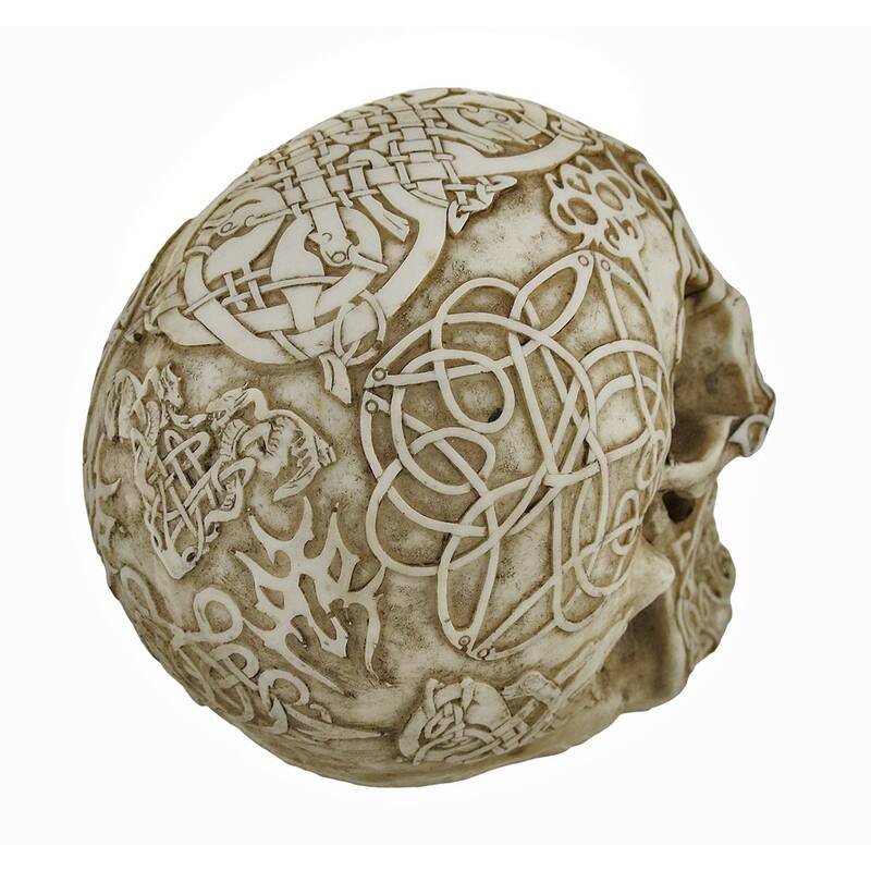Celtic Owl Knotwork Human Skull Statue Pagan - 5.75 X 5 X 7 inches