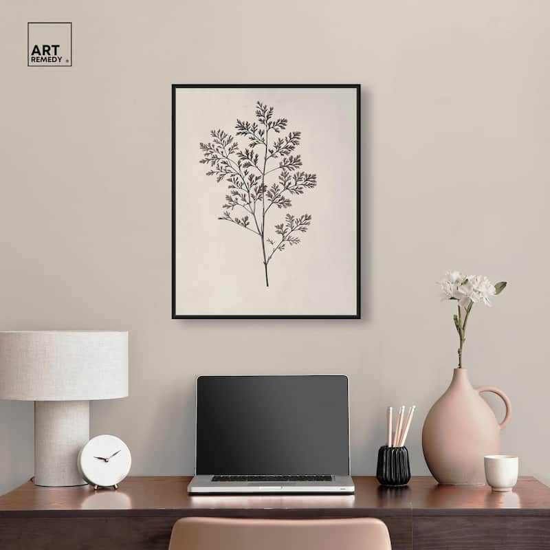 Aniseed Anatomy II Canvas Delicate Floral by Art Remedy