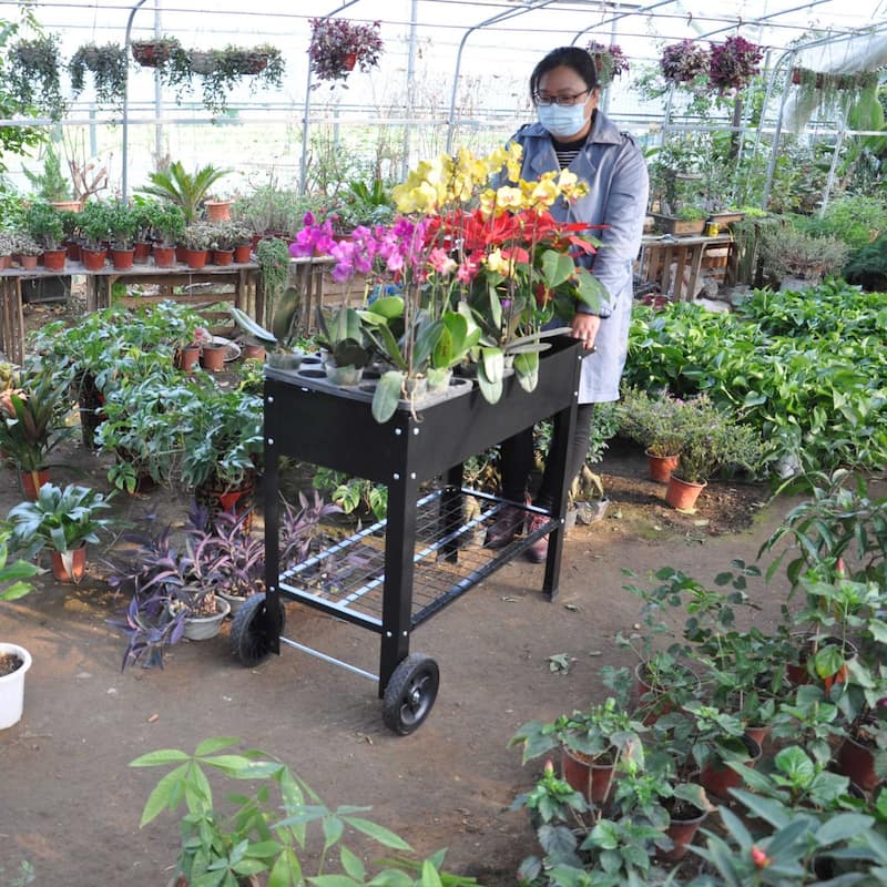 Metal Raised Garden Bed on Wheels for Outdoor Use
