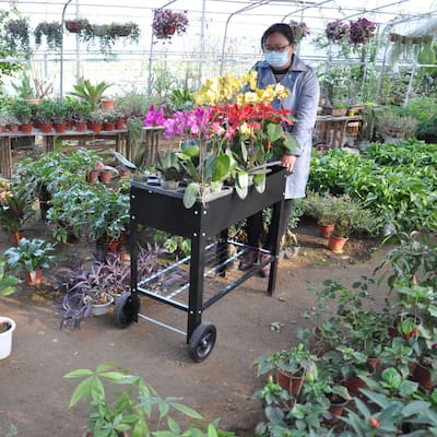 Metal Raised Garden Bed on Wheels for Outdoor Use
