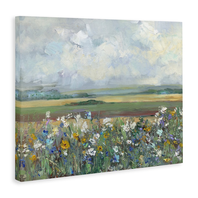 Stupell County Meadow Clouds Overhead Canvas Wall Art Design By Sally Swatland