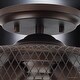 preview thumbnail 4 of 4, Luxury Vintage Ceiling Fixture, 10.25"H x 16"W, with Industrial Chic Style, Olde Bronze Finish by Urban Ambiance