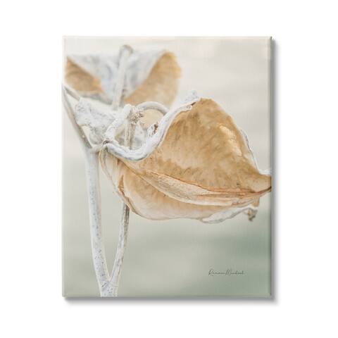 Stupell Industries Soft Milkweed Plant Photography Neutral Tones Beige Green Canvas Wall Art