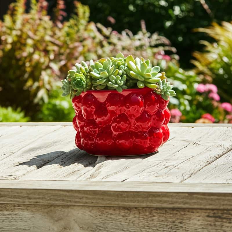 Textured Stoneware Ceramic Planter with Sculpted Bulbous Design