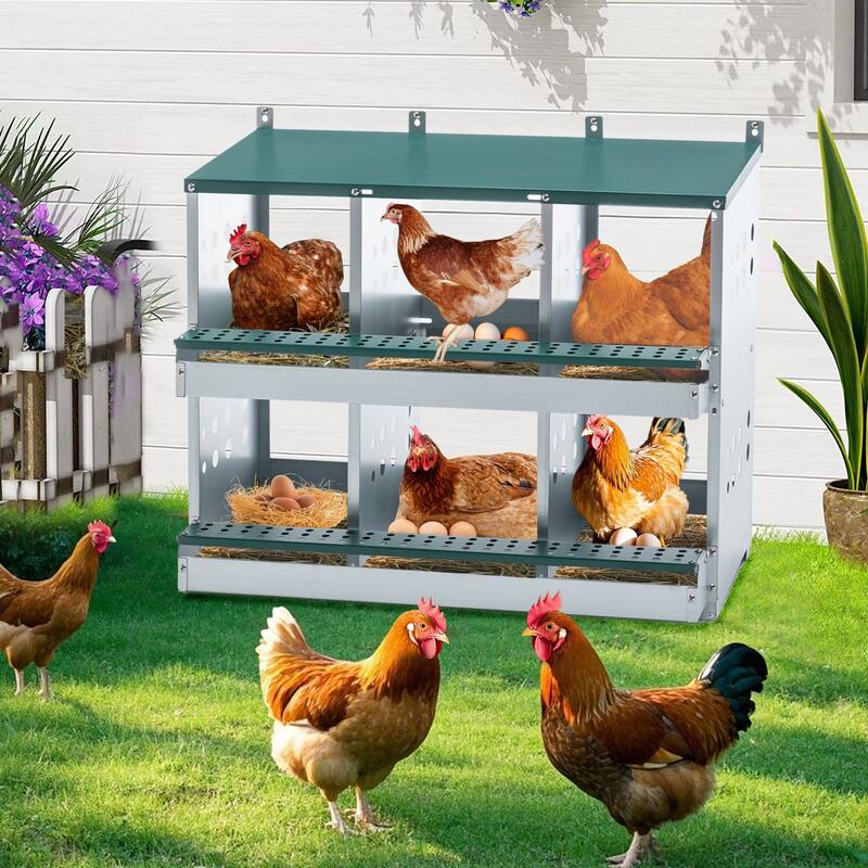 6 Compartments Chicken Nesting Box for Laying Eggs