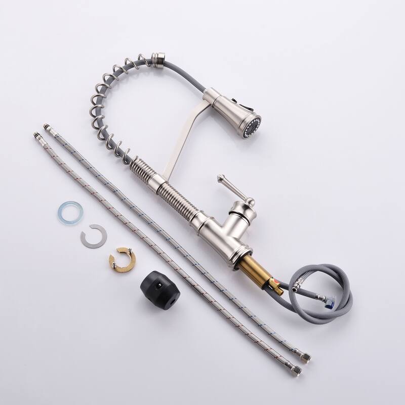 Kitchen Faucet with Pull Down