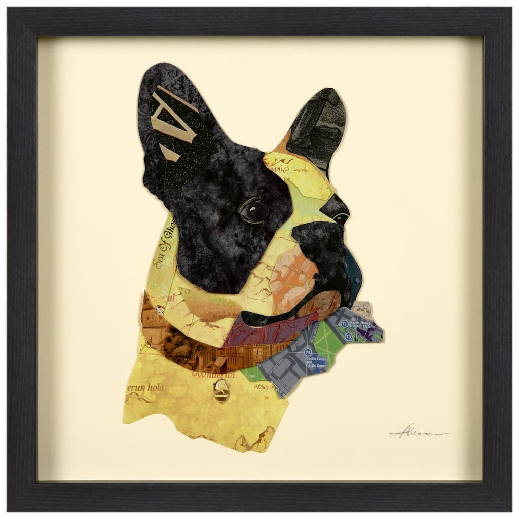 Empire Art "Boston Terrier Closeup" Alex Zeng's dimensional collage, under glass & a black shadow box frame