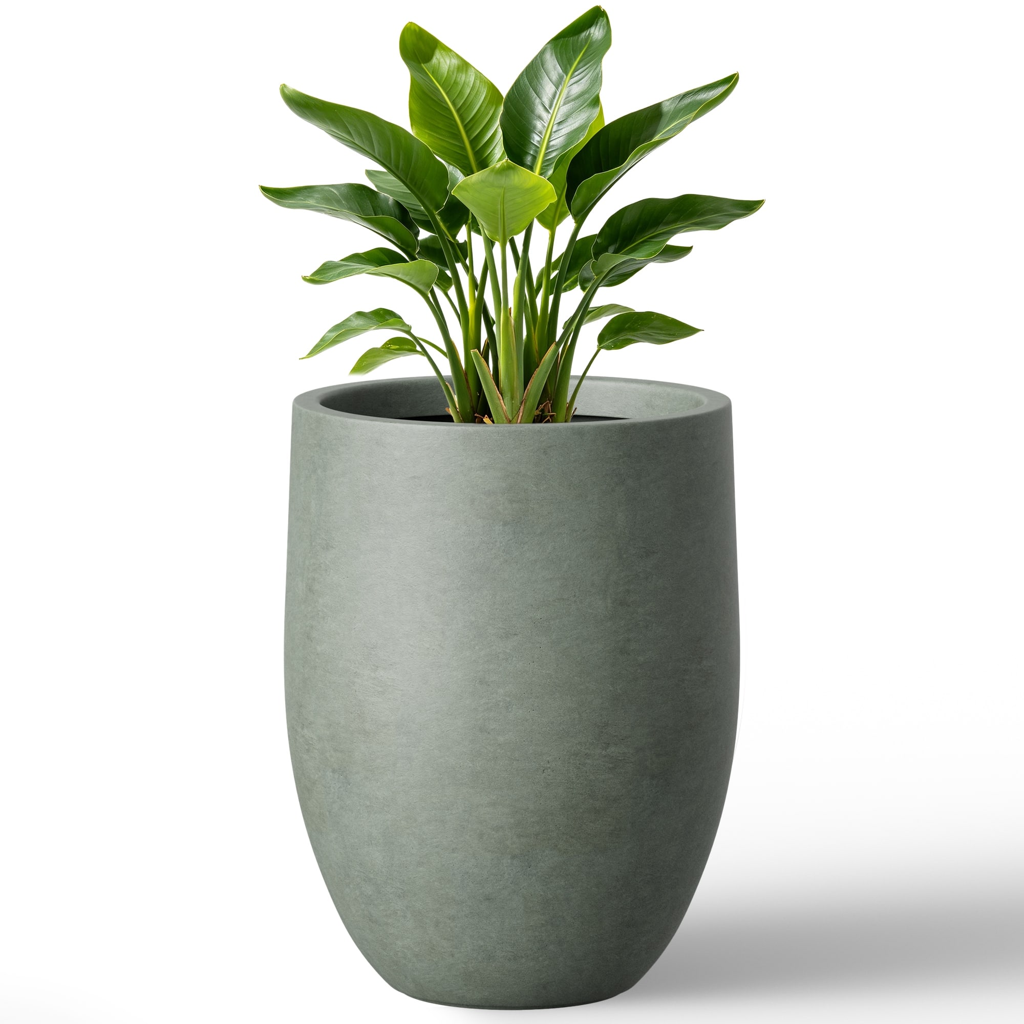 Option Green Gray