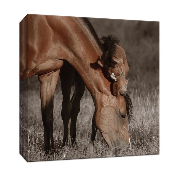 PTM Images 9-147000 PTM Canvas Collection 12" x 12" - "Unbroken Bond" Giclee Horses Art Print on Canvas