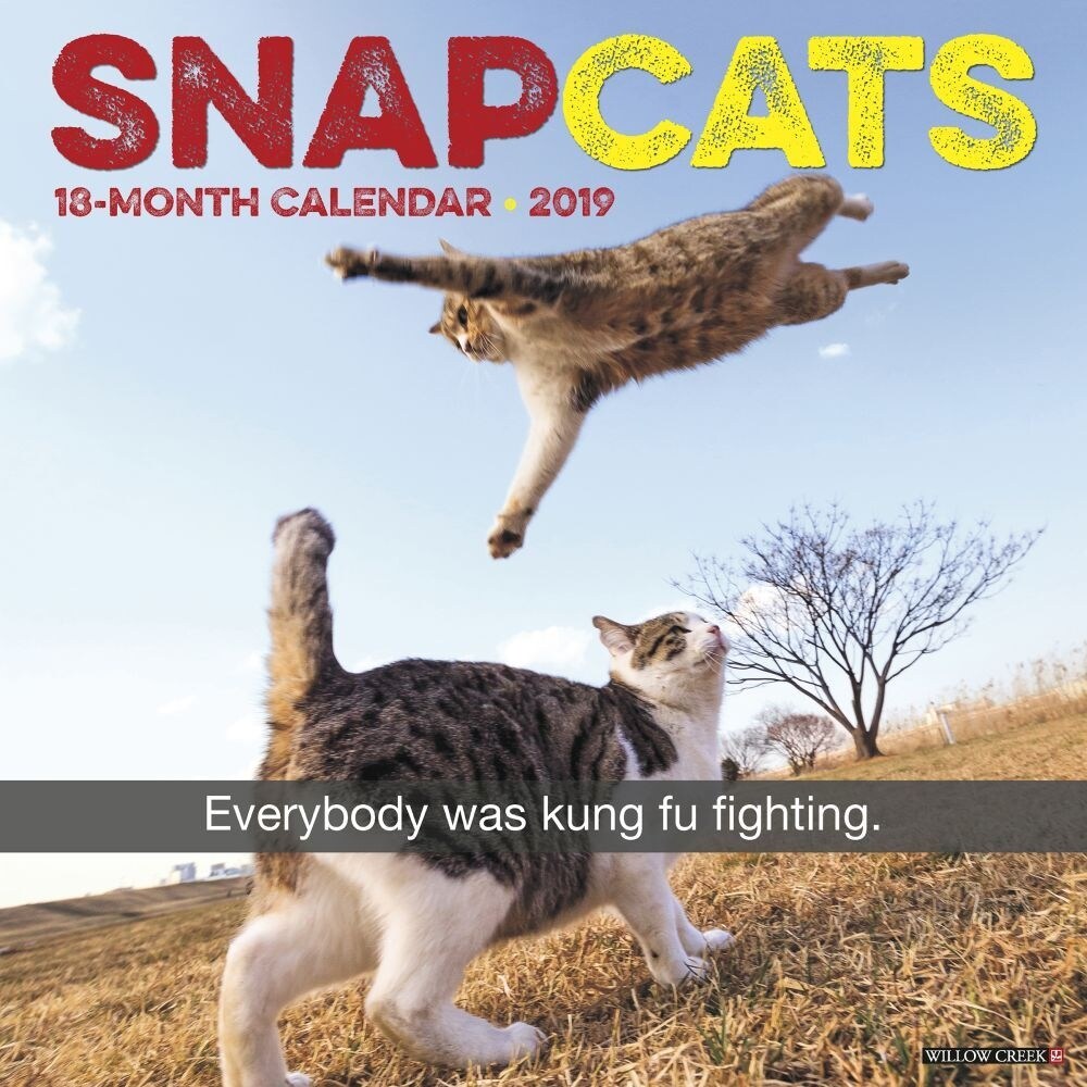 Shop 2019 Snapcats 2019 Wall Calendar Funny Cats By Willow Creek