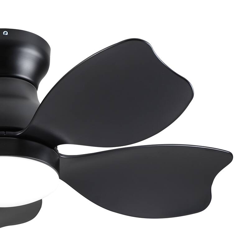Modern Small Ceiling Fan Light with 3 Color Temperatures and 5 Blades, 6 Adjustable Wind Speeds for Bedroom and Living Room