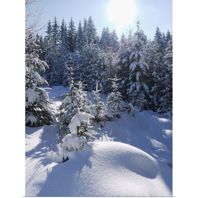 Snowy Cold Winter Landscape Poster Print Overstock Snowy Cold Winter Landscape Poster Print Overstock