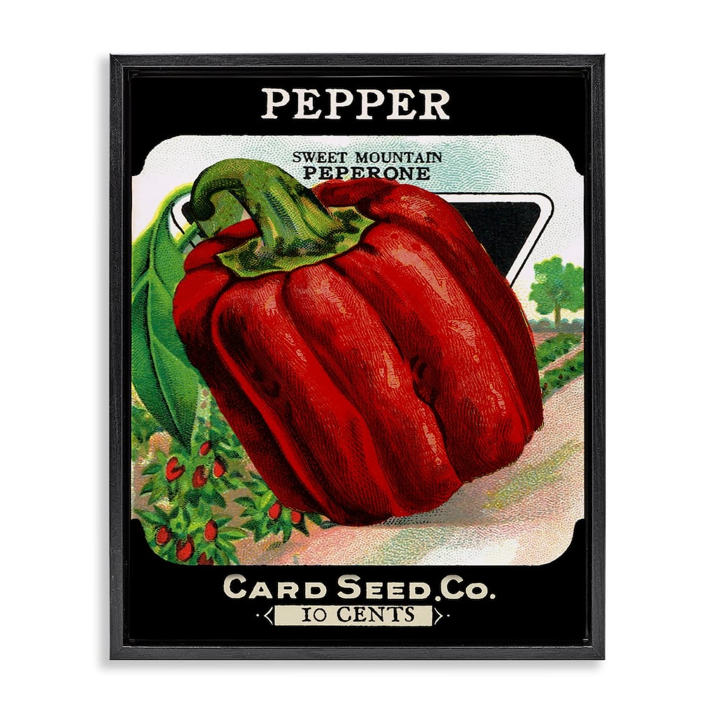 Stupell Vintage Garden Peppers Framed Floater Canvas Wall Art Design By Lil' Rue