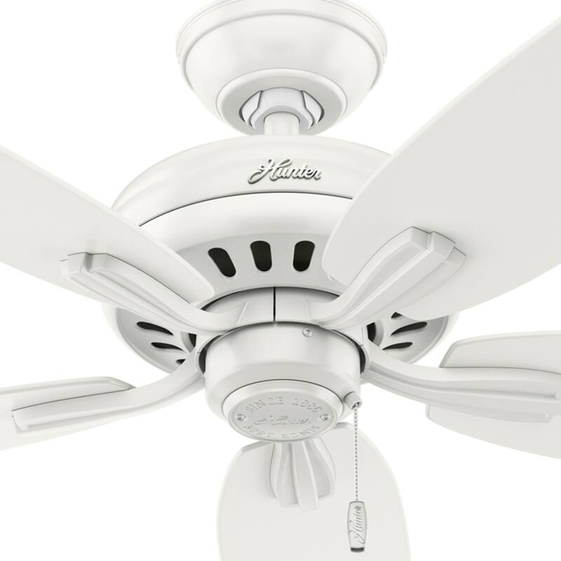 Hunter 52" Newsome Ceiling Fan with Pull Chain - Traditional - Casual