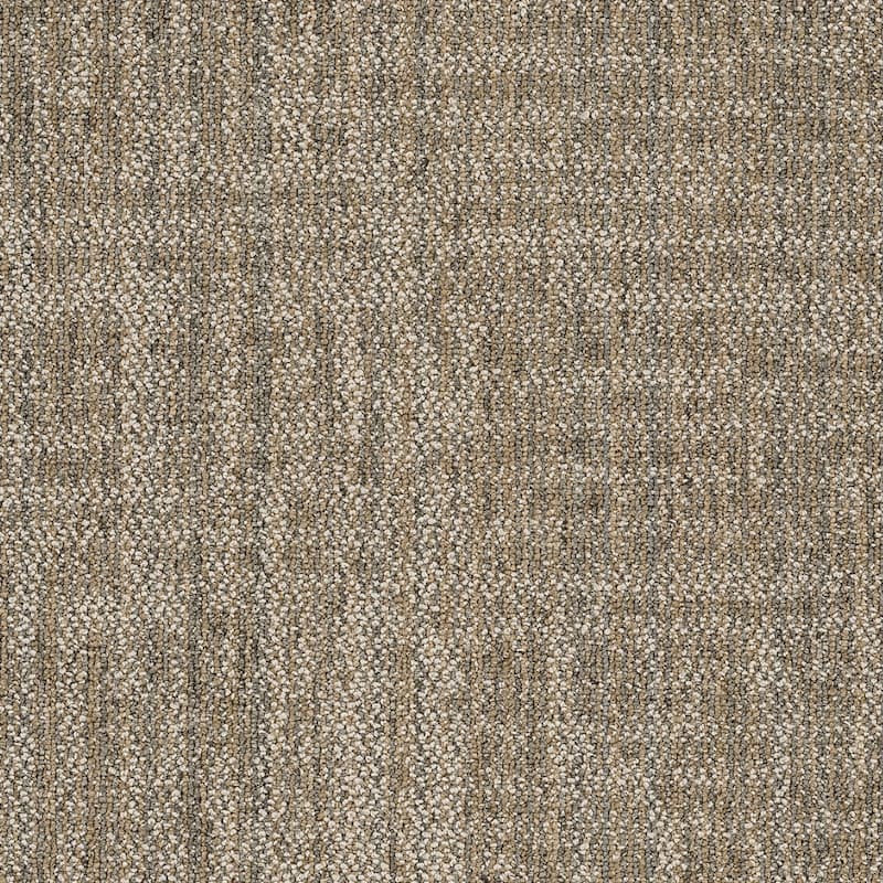 Shaw Philadelphia Commercial Raw Beauty 18" x 36" Glue Down Carpet - Astute