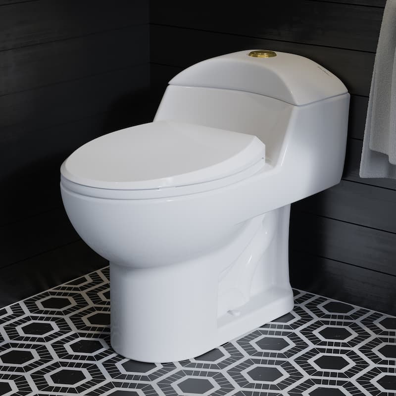 Montparnasse One Piece Elongated Toilet Dual Flush, Brushed Gold Hardware 1.1/1.6 Gpf - 19.55" x 16.15" 24"