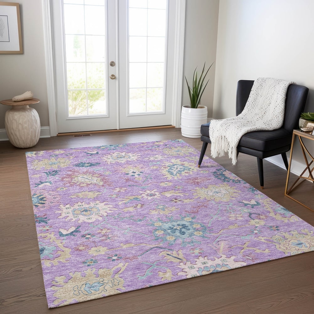 Machine Washable Indoor/ Outdoor Causal Traditional Chantille Rug