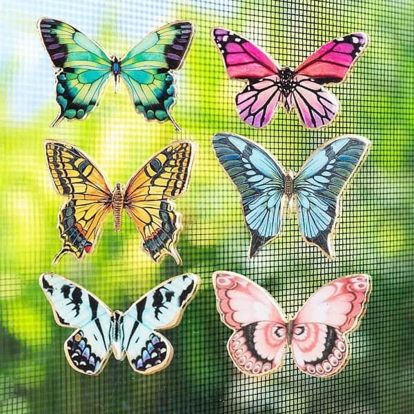 Set Of 6 Assorted Butterflies Two-Sided Magnet - Bed Bath & Beyond ...