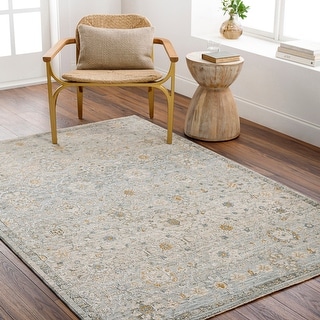 Rayan Transitional Area Rug