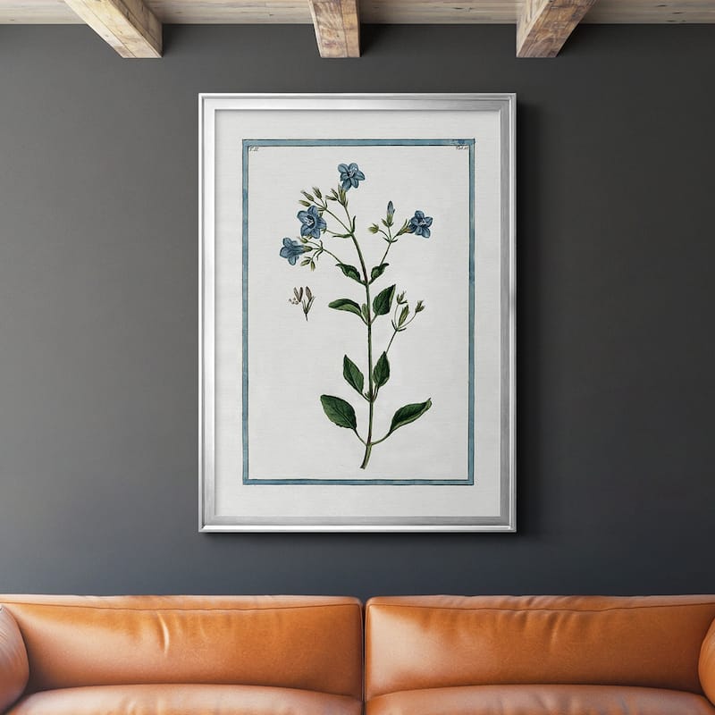 Shabby Chic Botanical II Premium Framed Print - Ready to Hang