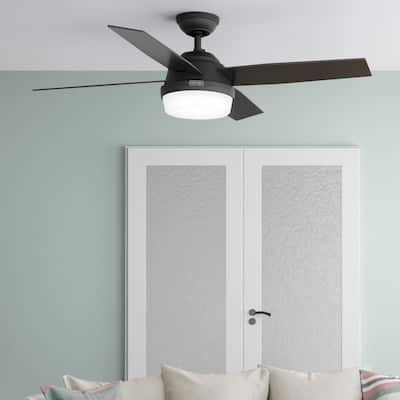 Hunter Fan Dempsey Collection 52 inch Brushed Nickel with 4 Black Oak or Chocolate Oak Reversible Blades - Silver