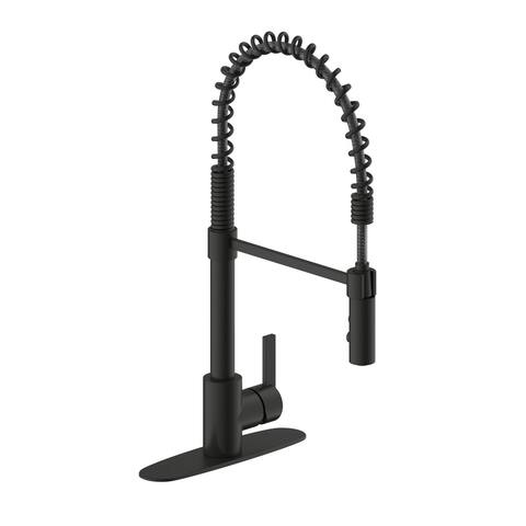 Palais Royal Modern Residential Kitchen Spring Faucet