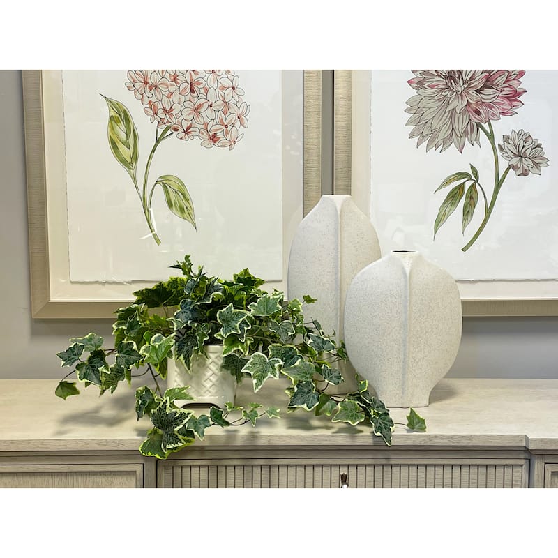 Ivy Arrangement in Square Ceramic Pot - Green