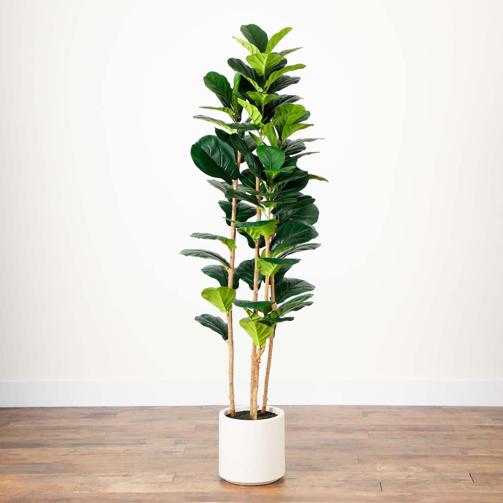 Fiddle Leaf Artificial Potted Tree in Planter - 6'