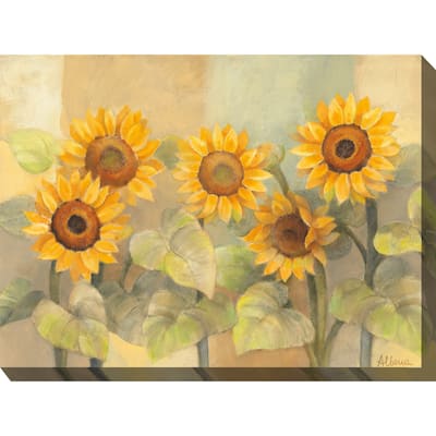 Sunshades All Weather Outdoor Wall Décor