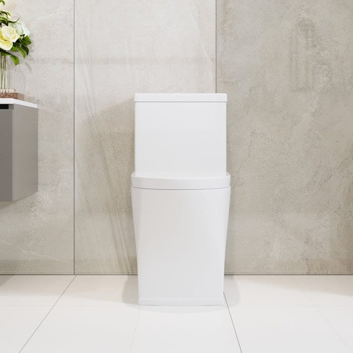 DeerValley One Piece Toilet For Bathroom, Dual Flush Modern Toilet, 12'' Rough-In Toilet with Comfort Seat Height - N/A