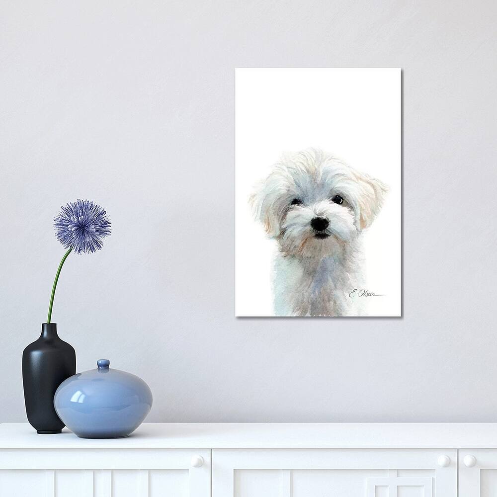iCanvas "Maltese Puppy" by Watercolor Luv Canvas Print