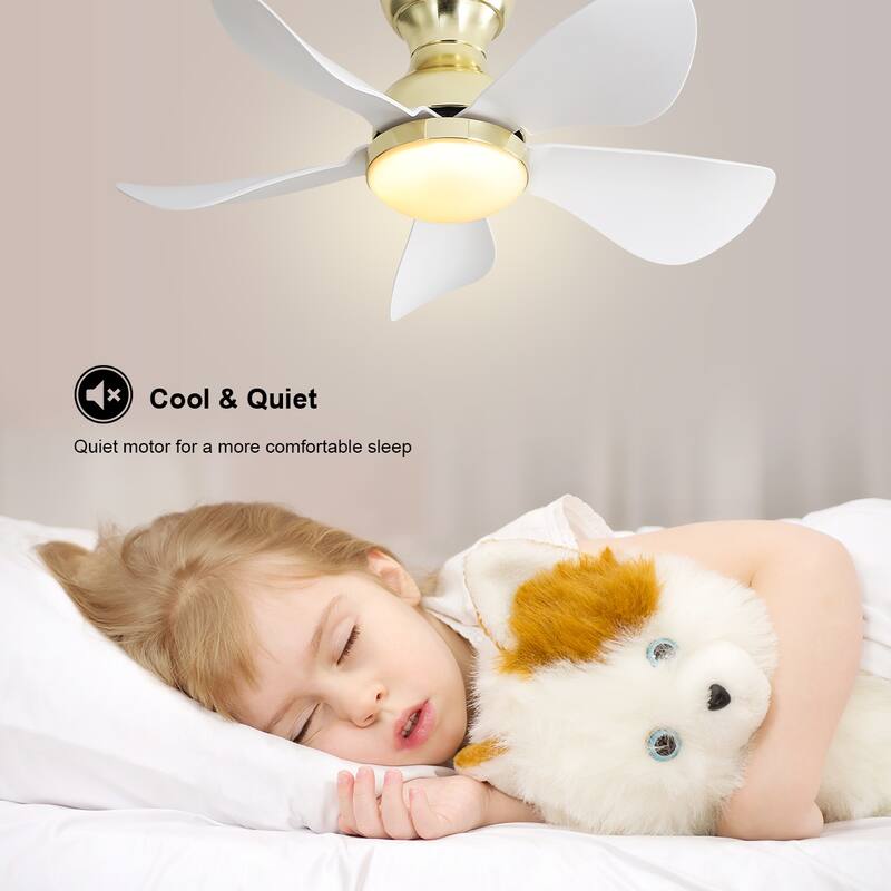 29 Inch Modern Ceiling Fans w/Lights and Remote Bedroom Flush Mount Ceiling Fan - 29 inch