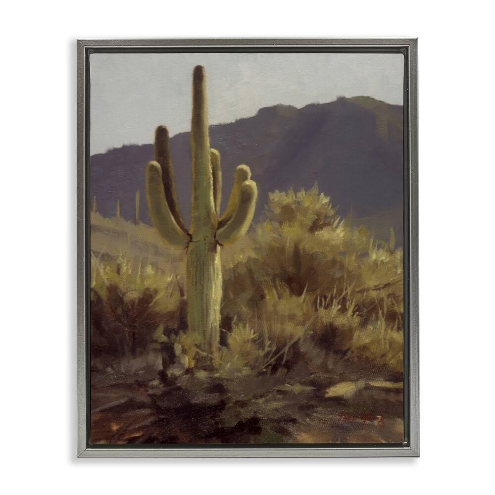 Stupell Bold Cactus Mountain Overlook Framed Floater Canvas Wall Art Design By Paco Young