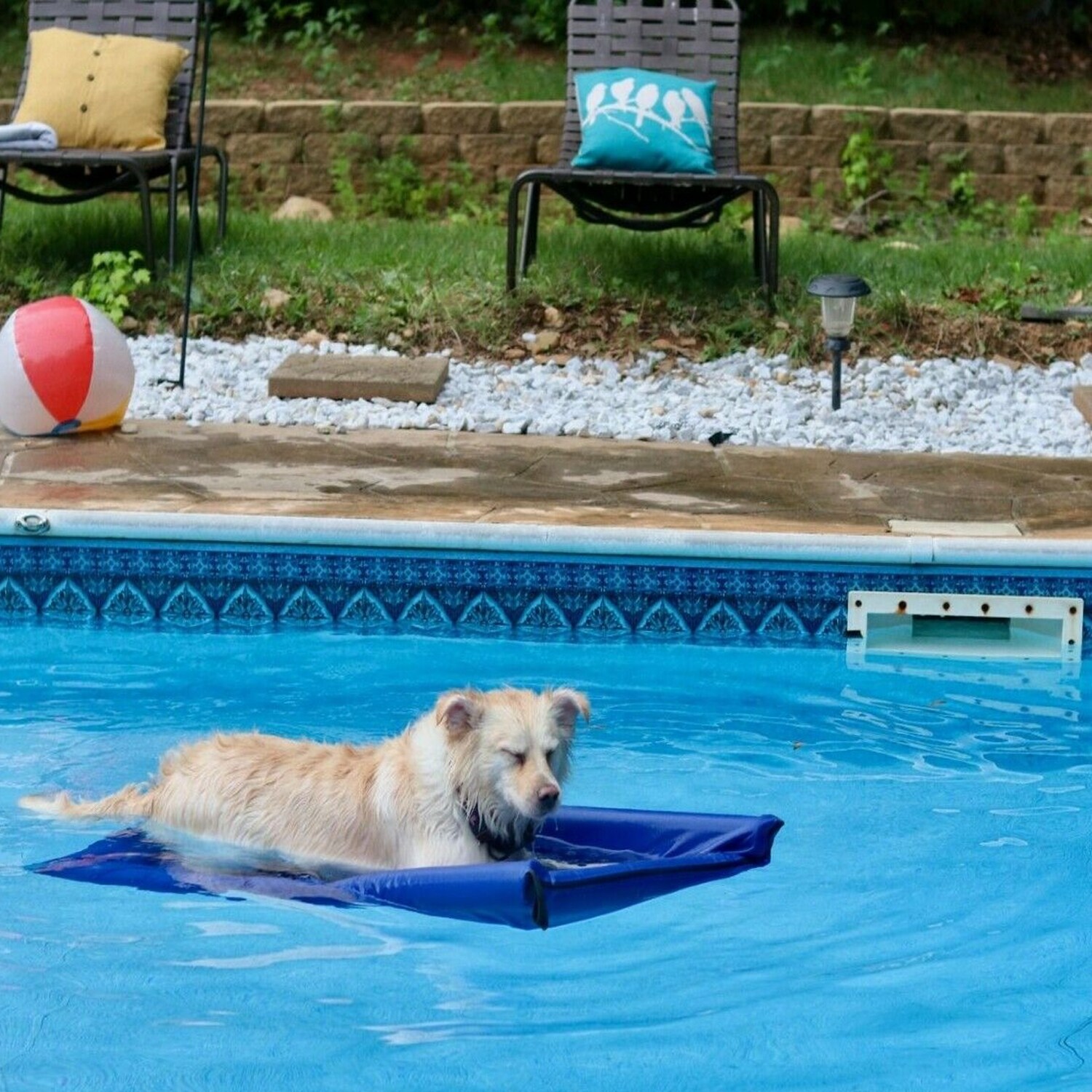 Large Details about   The Better Options Company Blue Lazy Dog Pool Lounger and Lake Raft Float 