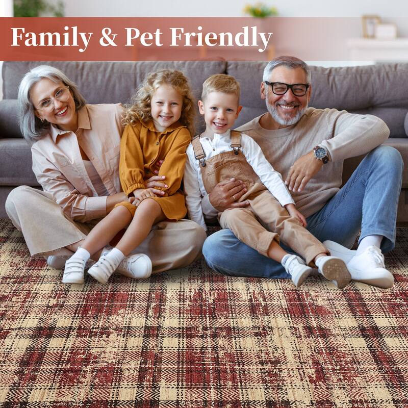 Washable Area Rugs for Living Room Bedroom Modern Plaid Rug Soft Non Slip Low Pile Farmhouse Geometric Rug