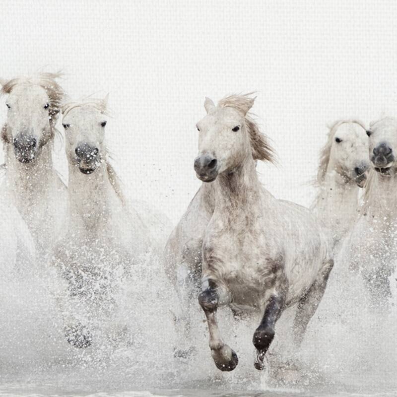 White Horses by Irene Suchocki Canvas Art Print