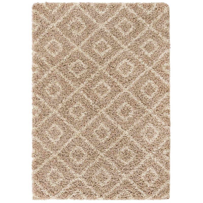 Shag Olido Collection Area Rug