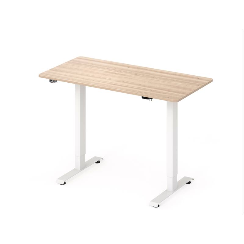 Carlos Modern 47-inch Metal Electric-Powered Adjustable Standing Desk by Furniture of America - Natural Tone