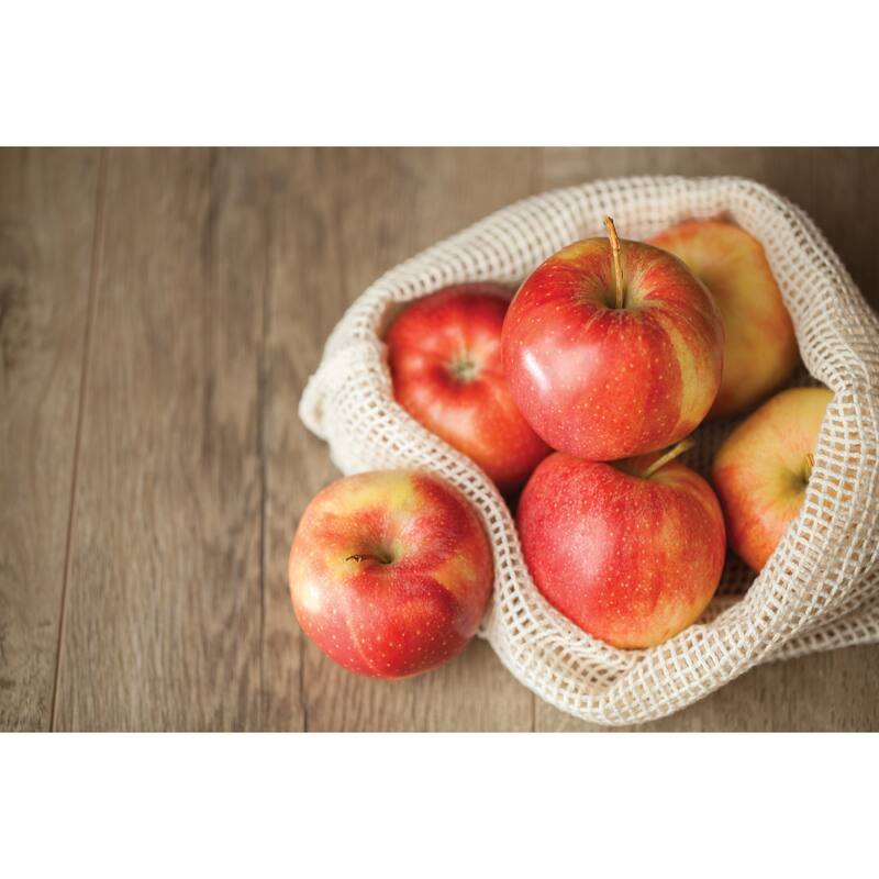 HIC Kitchen Reusable Produce Bags with Drawstring Closure, Unbleached Organic Cotton Mesh, Set of 4 plus Storage Bag