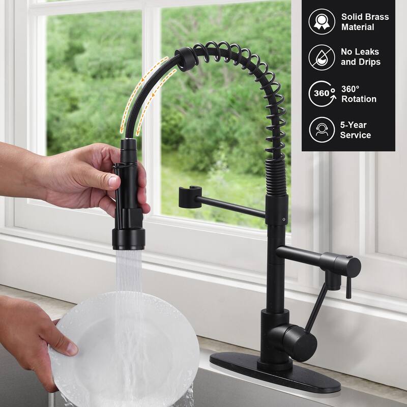 WOWOW Single Handle Pull Down Sprayer Kitchen Faucet with Advanced Spray