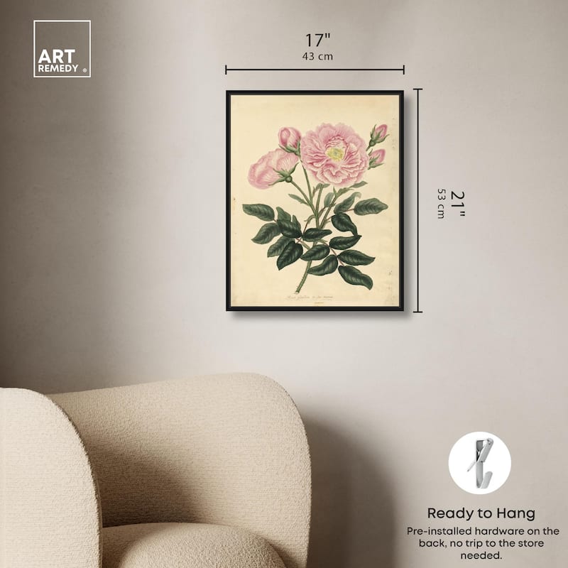 French Rose Canvas by Art Remedy
