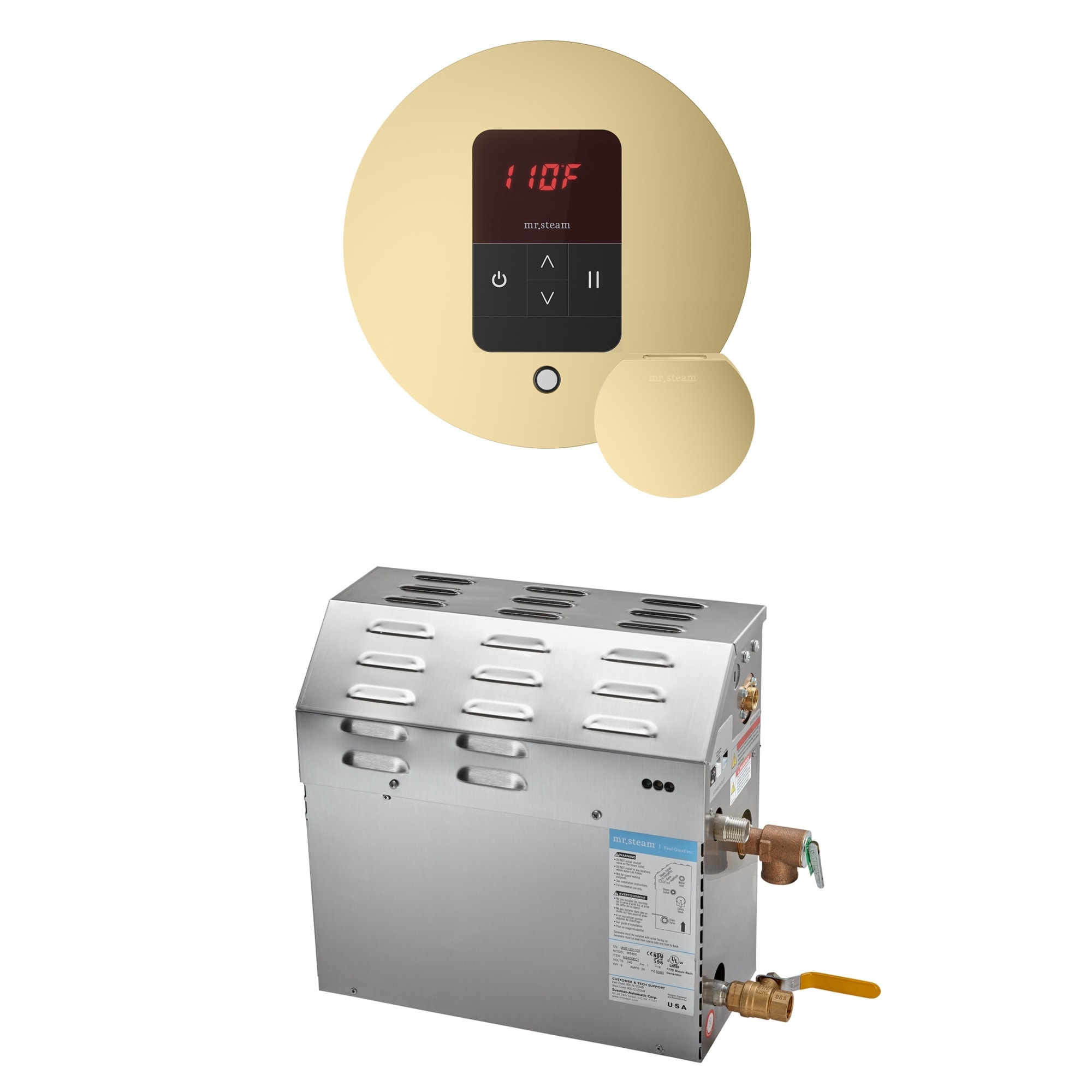Mr Steam R10C10AH0000 MS 10 kW (10000 W) Steam Shower Generator