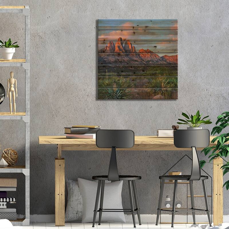Agave, Organ Mts, Aguirre Spring Nra, New Mexico Print On Wood by Tim Fitzharris - Multi-Color