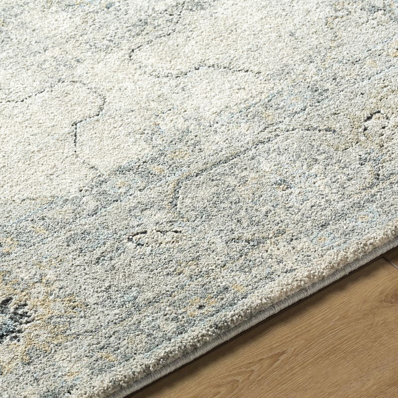 Livabliss Avellino Traditional Medallion Area Rug