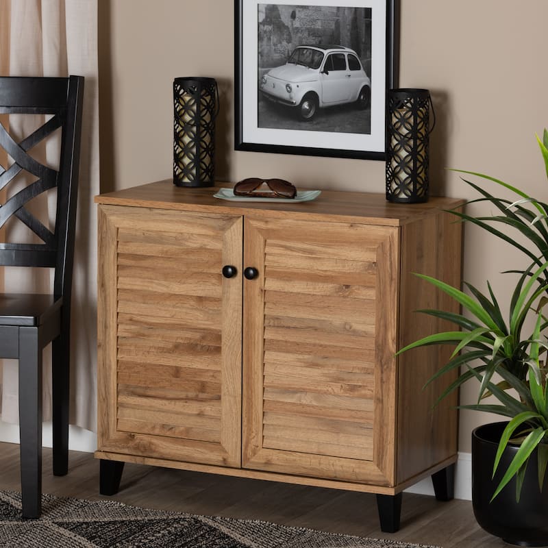 Coolidge Modern & Contemporary 2-Door Wood Shoe Storage Cabinet